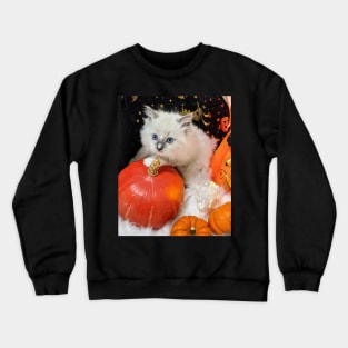 Halloween ragdoll kitten Crewneck Sweatshirt